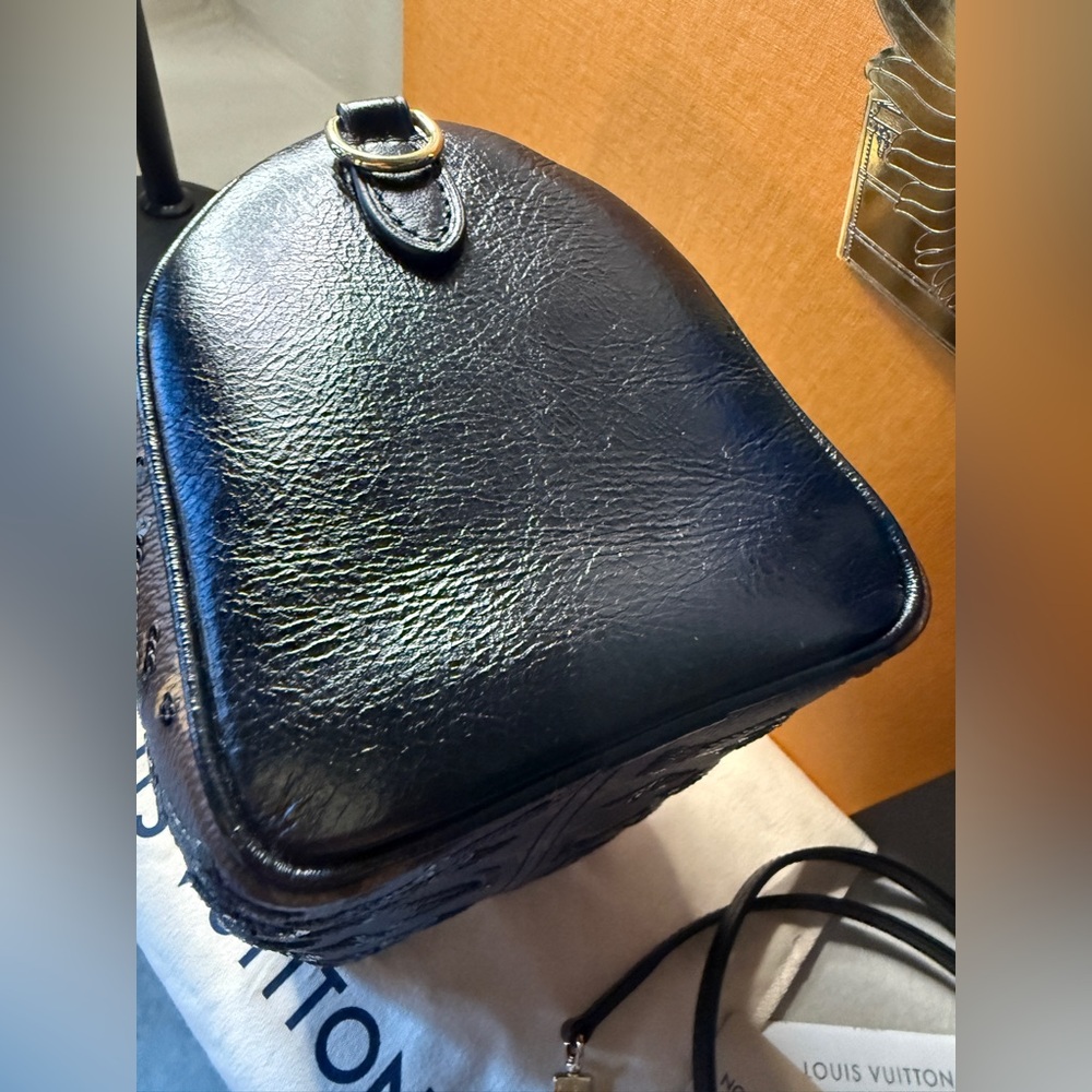 NWT Louis Vuitton Speedy Sequins Bandouliere 20 Ski Collection Limited Edition - Picture 14 of 17